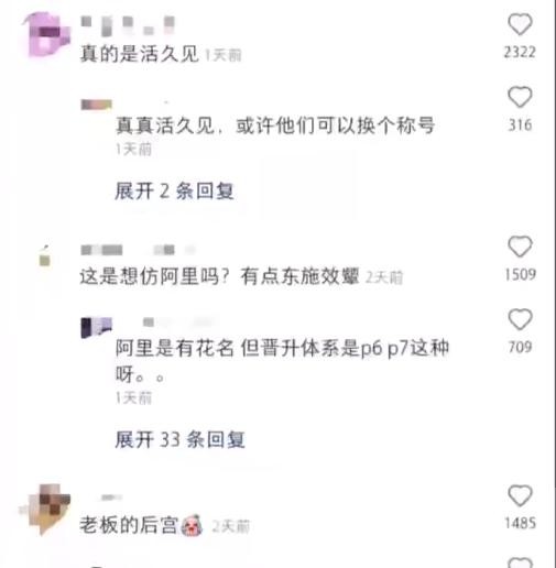 公司回应选妃式招聘：吸引应聘者 用皇后等称呼代指主管