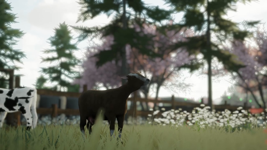 乡村农场生活<a href=