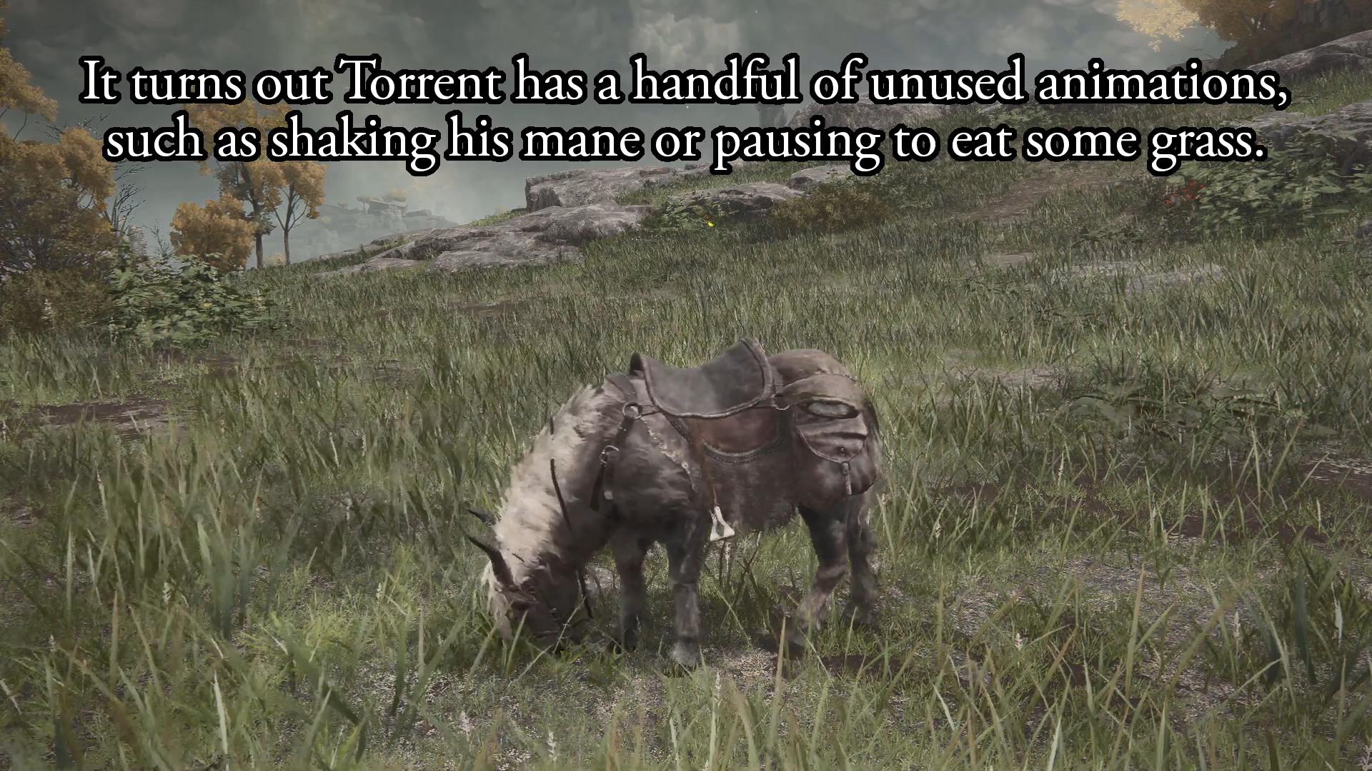 玩家发现《艾尔登法环》灵马托雷特废弃动作 可吃草甚至踹人攻击