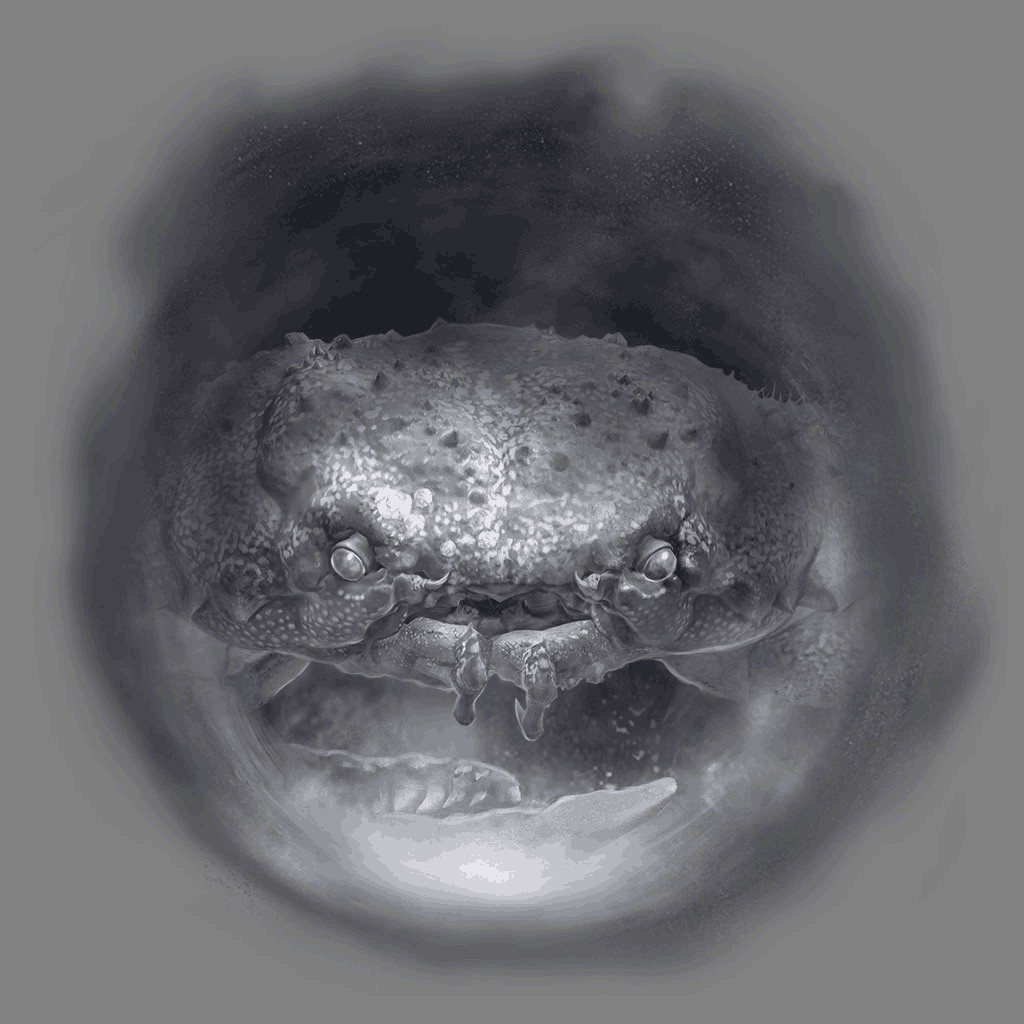 玩家挖掘出《艾尔登法环》<a href=