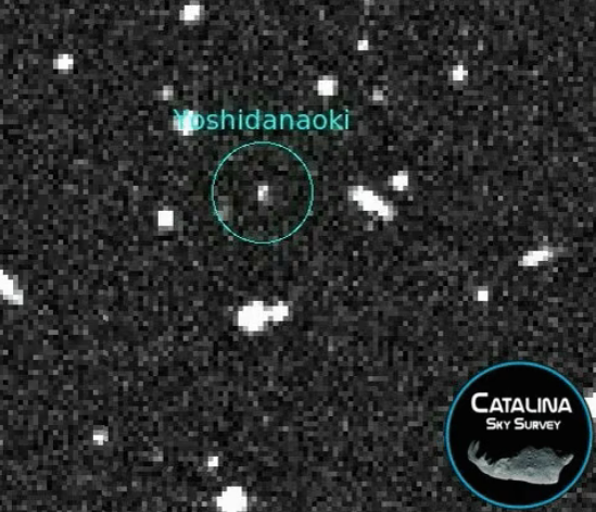 真爱粉！国外粉丝将自己命名权小行星命名为吉田直树