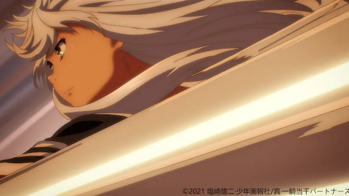 系列新篇《真•一骑当千》动画追加角色 5月17日播出