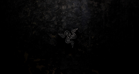 Razer品牌联合创始人Razerguy' Robert去世