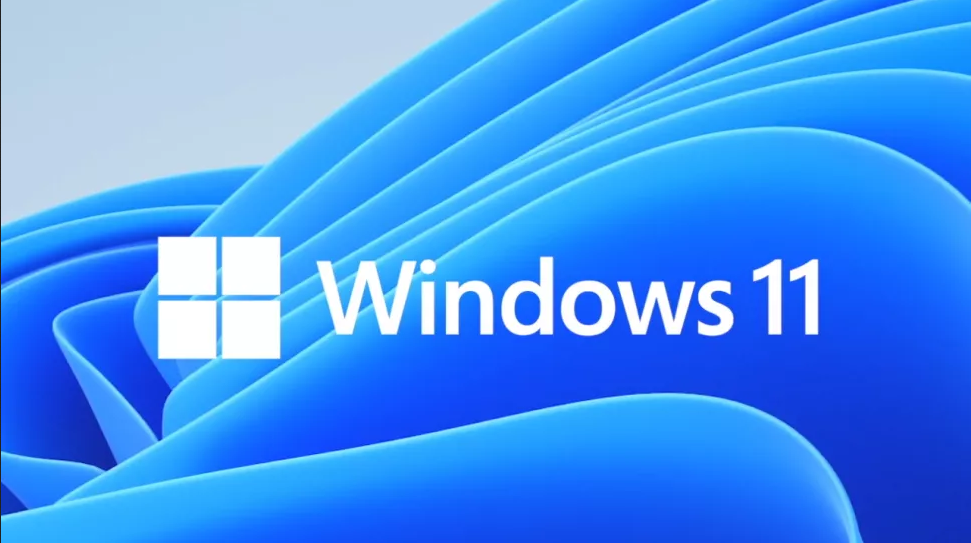 Win11预览版更新导致一些Microsoft  store应用程序无法运行。