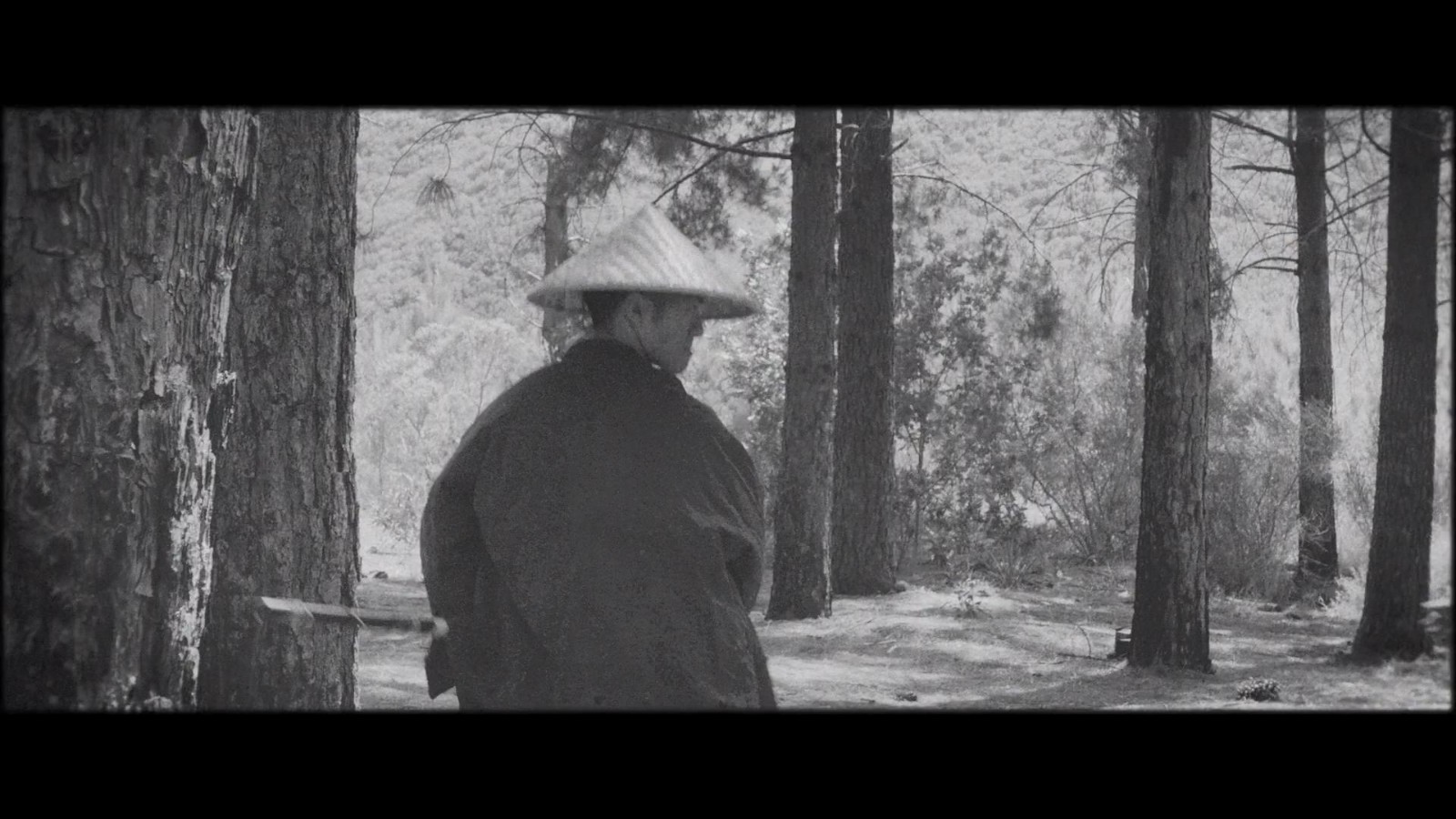 受黑泽明电影启发 《黄泉之路》发布真人宣传片