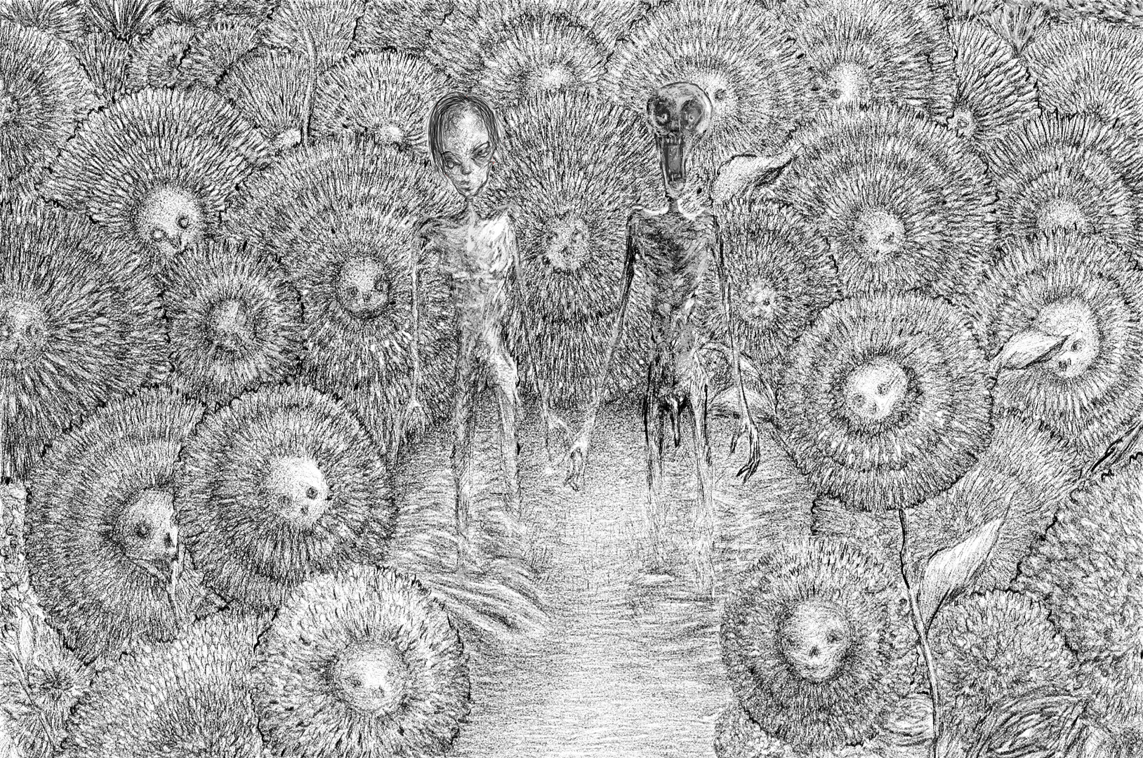 恐怖解密<a href=