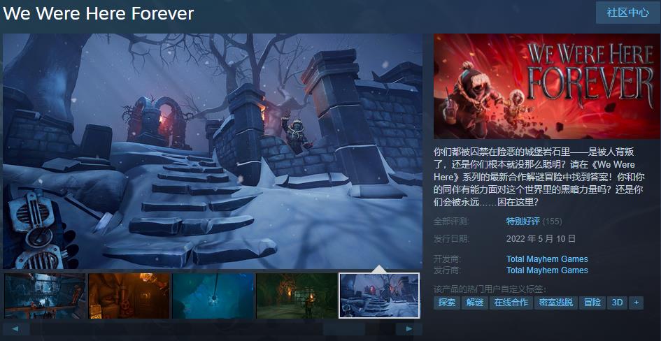 合作解密游戏《我们永远在这》待售综合评价“特别赞”