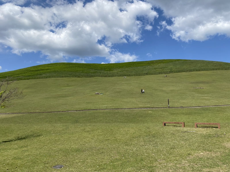 网友分享的奈良和歌山美景酷似WinXP官方壁纸。