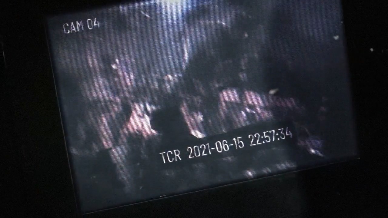 《黎明杀机》《生化危机》联动第二章节“W计划”公布