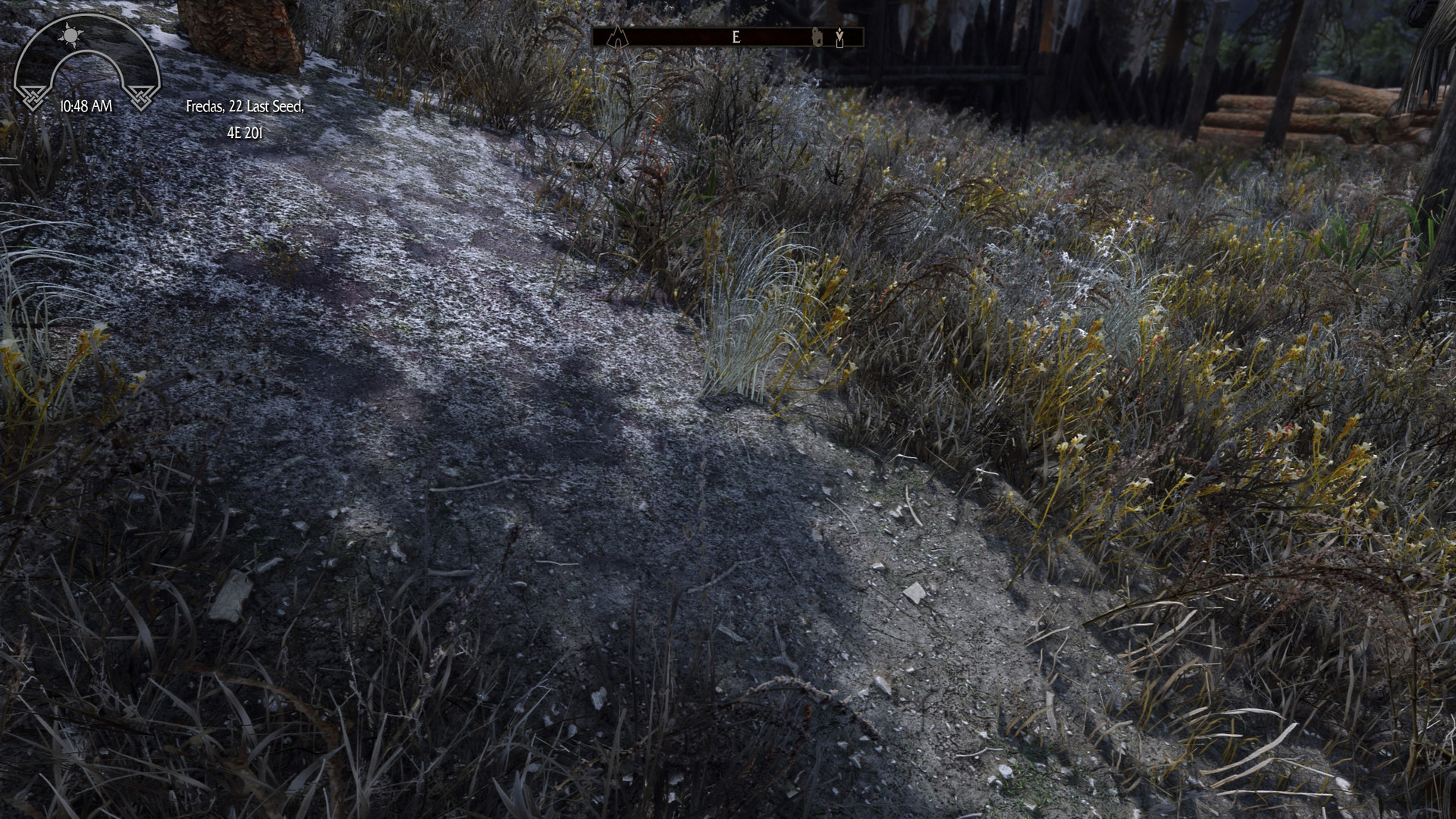 《上古卷轴5：天际重制版》高清材质包 所有地貌大修