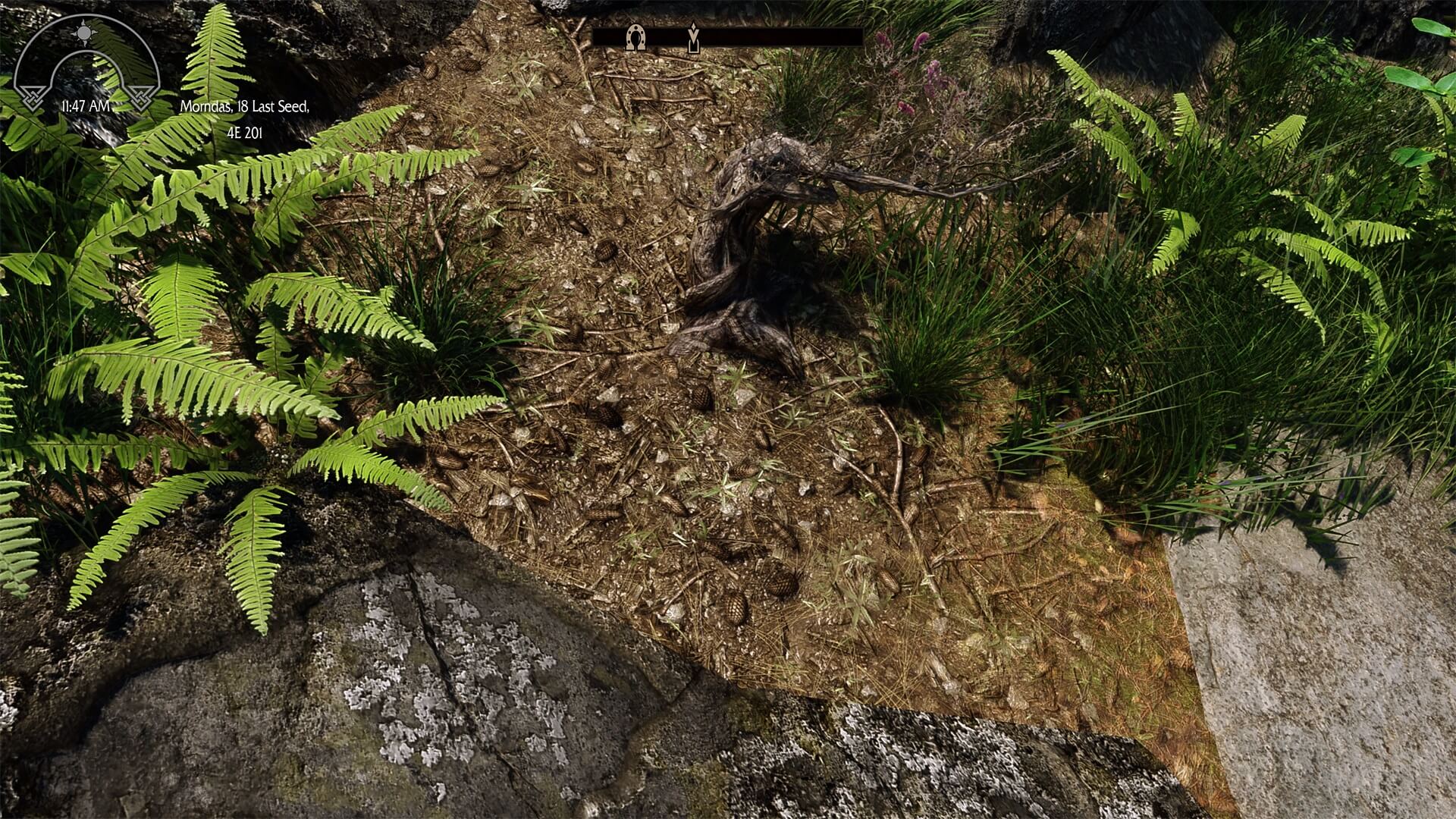 《上古卷轴5：天际重制版》高清材质包 所有地貌大修