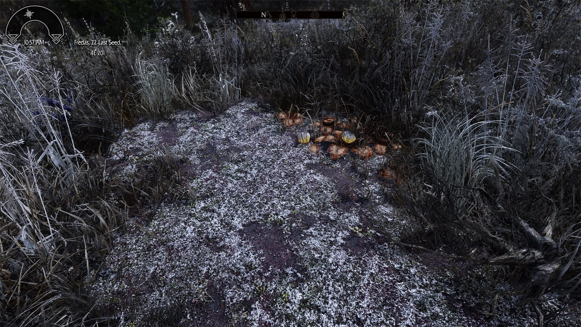 《上古卷轴5：天际重制版》高清材质包 所有地貌大修