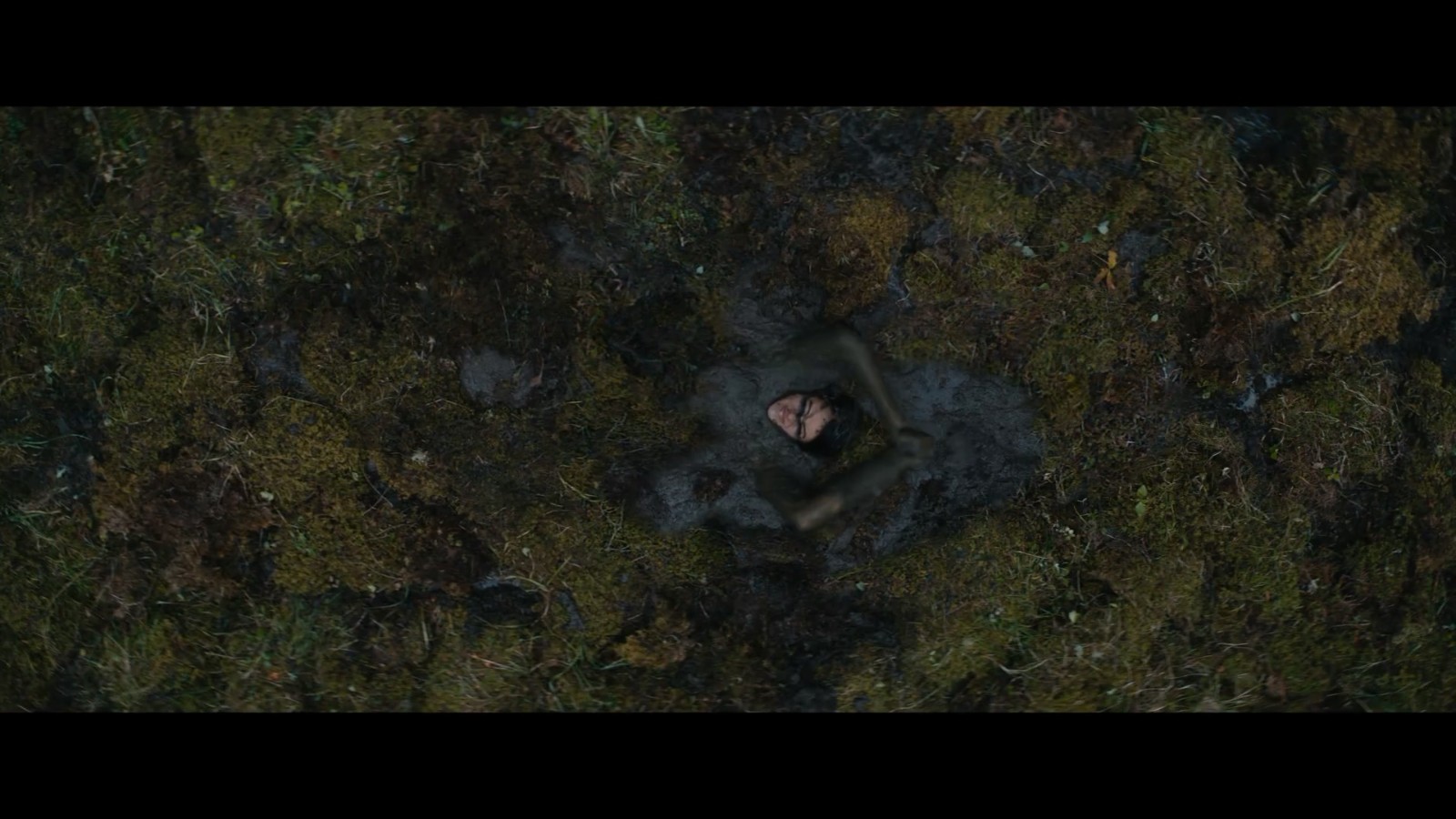 《铁血战士：猎物》首曝预告 8月5日播出