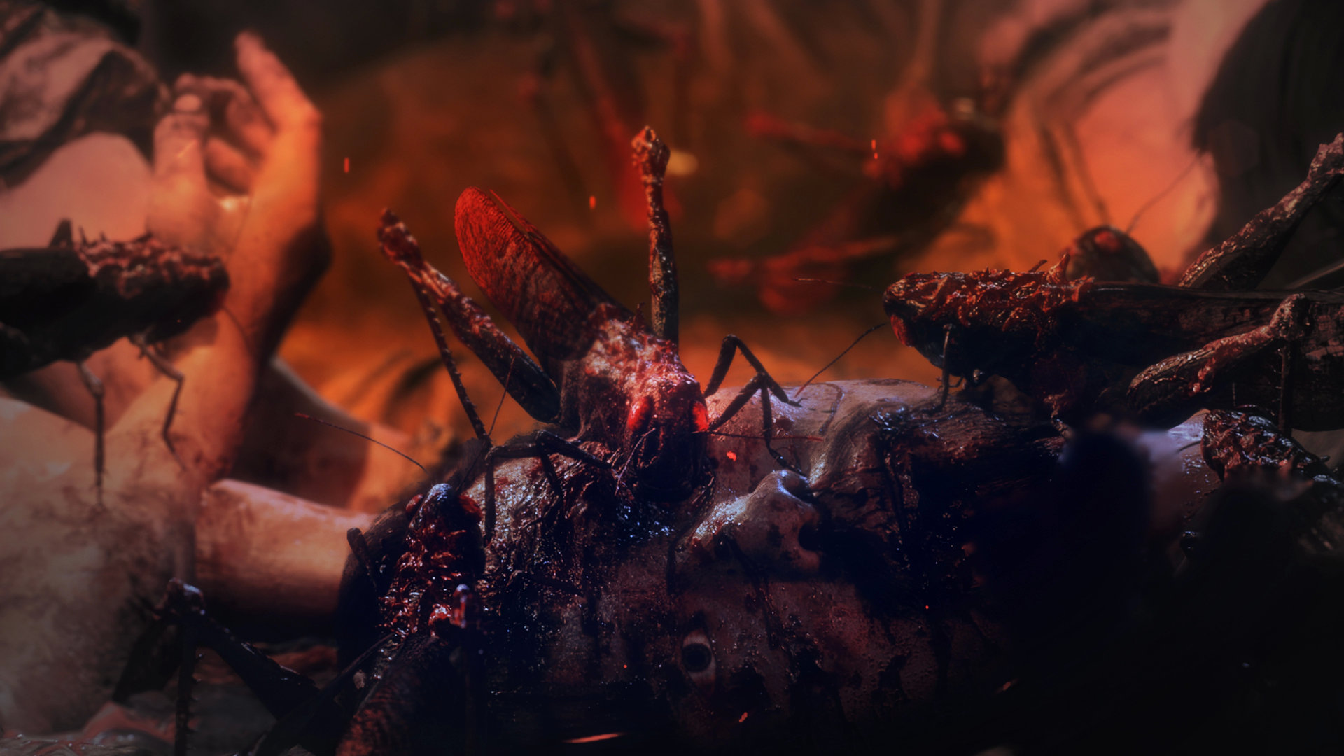 三国动作《卧龙：失落王朝》高清截图发布 《仁王》制作人领军制作