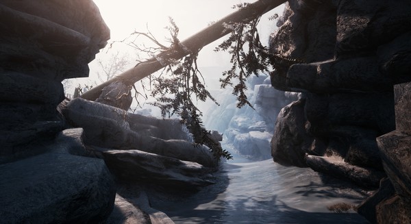 冒险生存<a href=