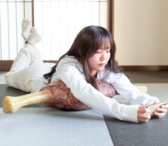 《怪物猎人：崛起》生肉烤肉造型抱枕 单款售价806元