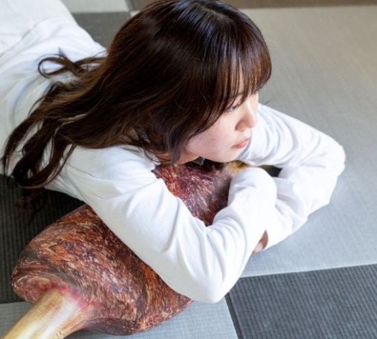 《怪物猎人：崛起》生肉烤肉造型抱枕 单款售价806元