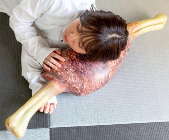 《怪物猎人：崛起》生肉烤肉造型抱枕 单款售价806元