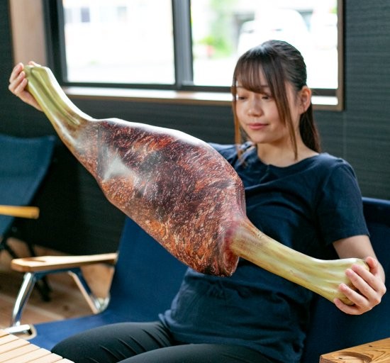 《怪物猎人：崛起》生肉烤肉造型抱枕 单款售价806元