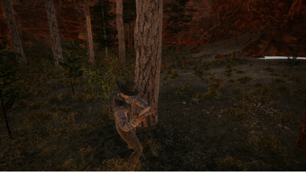 在《狂野西部时代》的一百万种生存之道