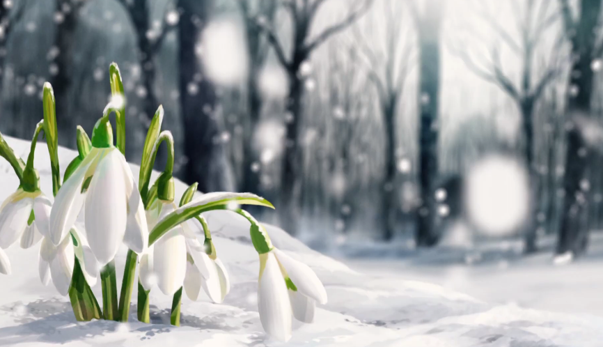 TV动画《无职转生》第二季新预告 2023年开播