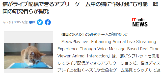 韩国研究团队开发猫咪游玩直播系统 逗猫还可打赏