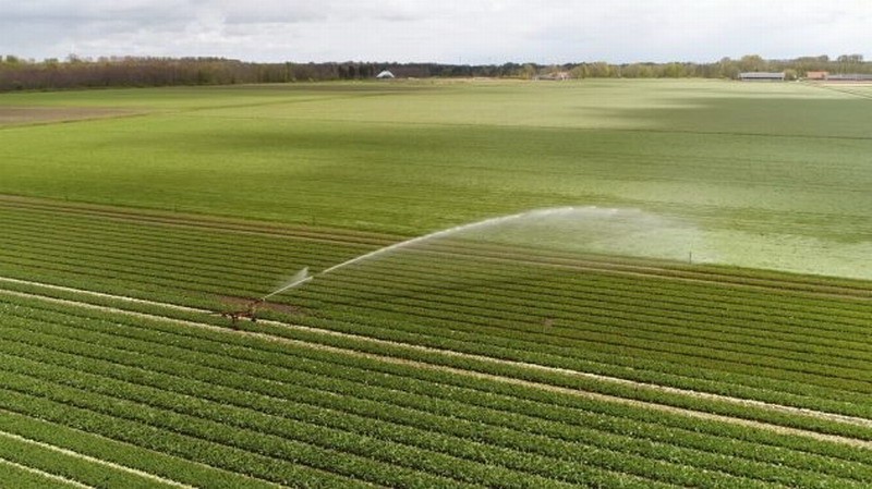 比尔盖茨成美国头号农田主 拥有土地面积相当于1个香港