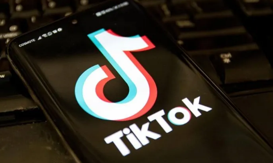 维护未成年人健康“触网”TikTok启动暑期专项治理