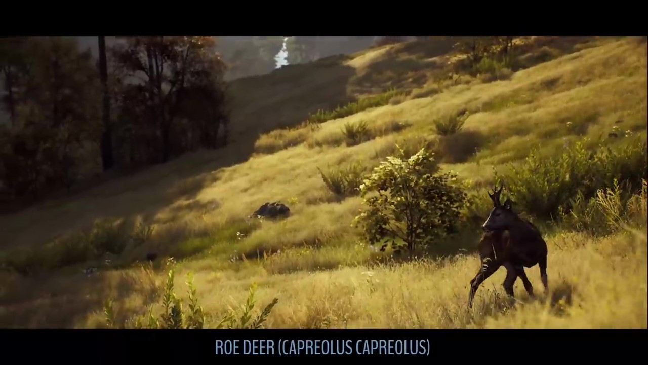 《猎人之路》“特兰西瓦尼亚动物”预告 8月17日正式发售