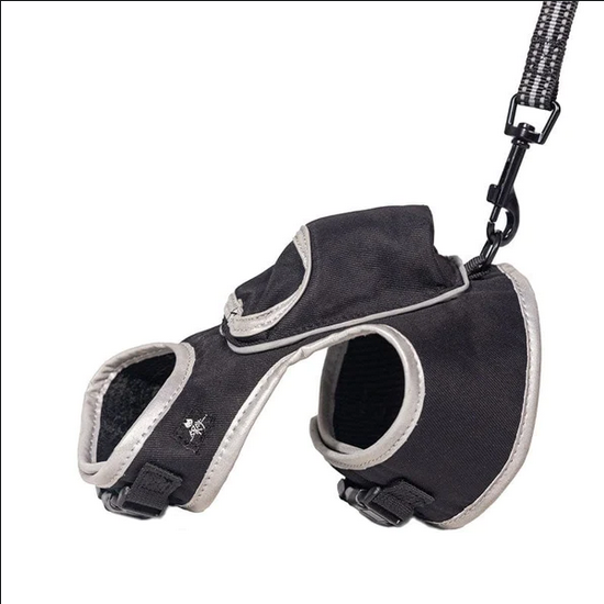 带着猫一起流浪 《迷失》推出宠物用具周边