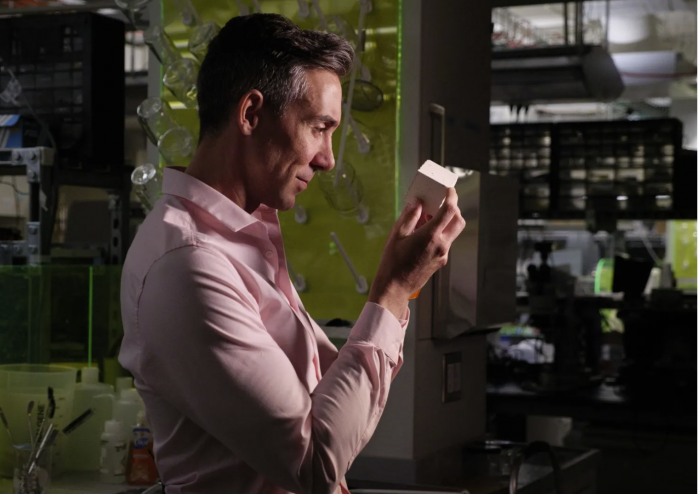 未来城市可以用海藻生产的材料来建造