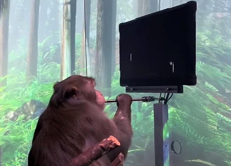 意识永生！马斯克称已将自己大脑资料上传到云端