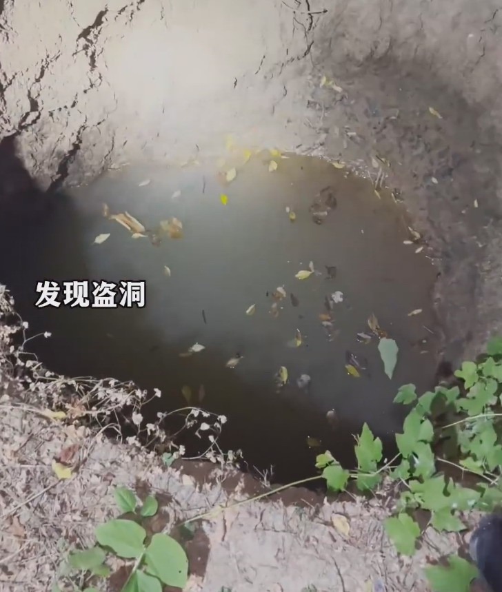 男子翻古籍找古墓然后抢劫:种庄稼掩人耳目。