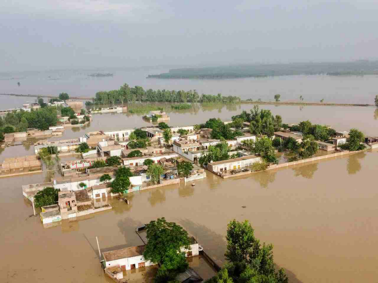 世界气象组织气候报告:人类正在进入“未知的毁灭领地”