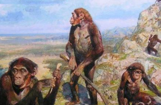 中国科学家证实人类由鱼类进化而来，进化过程需要近5亿年。