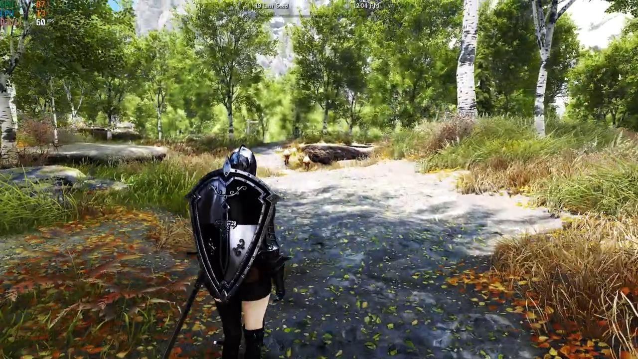 RTX4090runs《上古卷轴5》追光等Mod画面很惊艳。