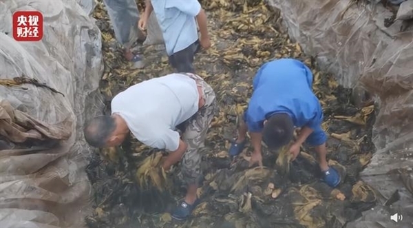 你还吃吗？“老坛酸菜”的标准来了，官方说跟踩土坑酸菜没关系。