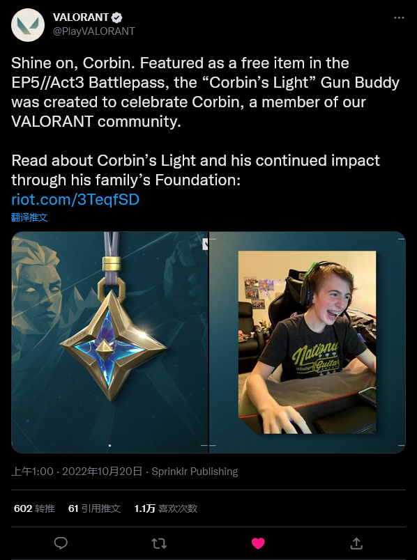 《Valorant》年轻粉丝死于癌症拳头宣布免费吊坠记住