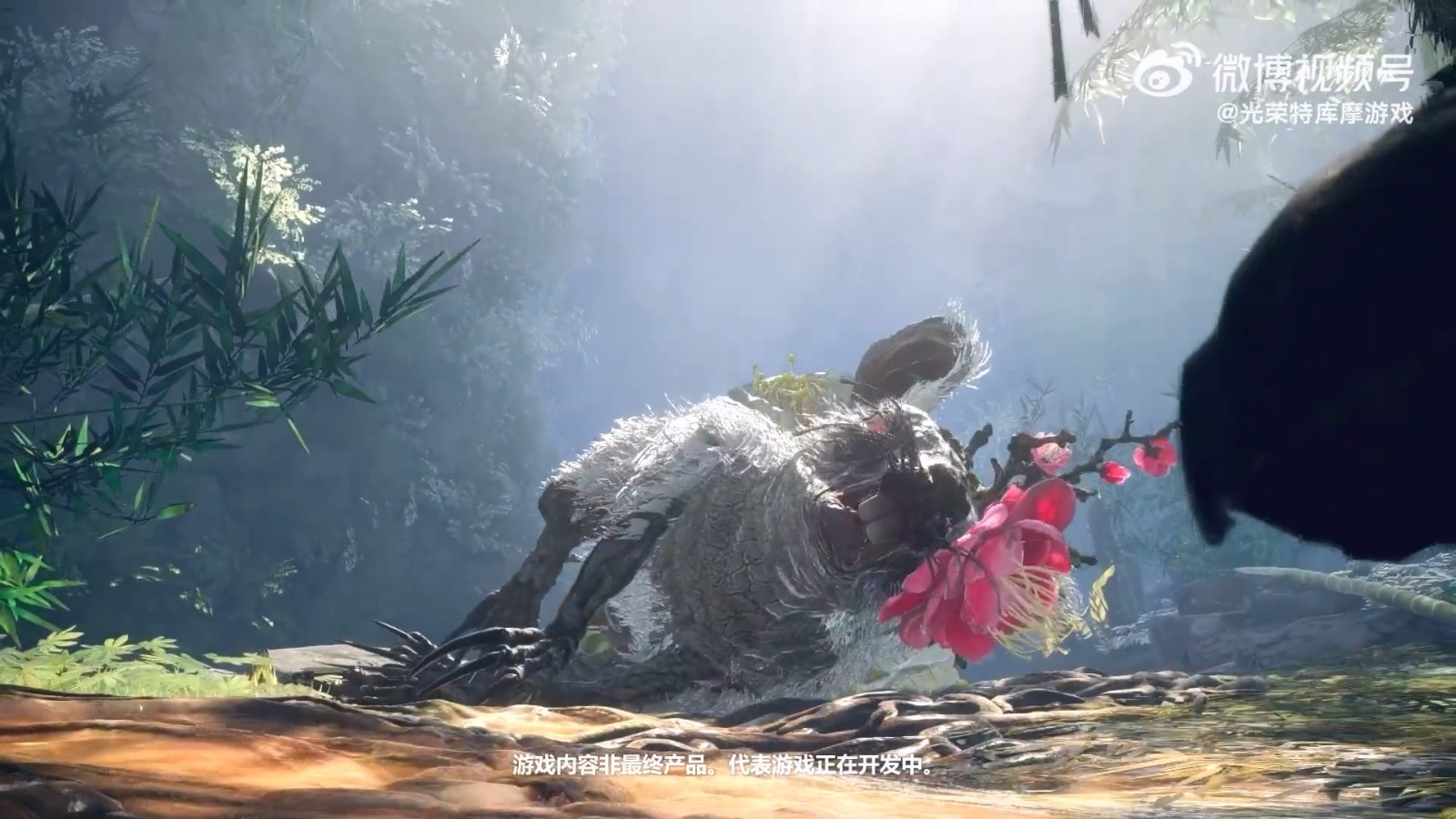 《狂野之心》新公告:用匠心猎杀野生动物。