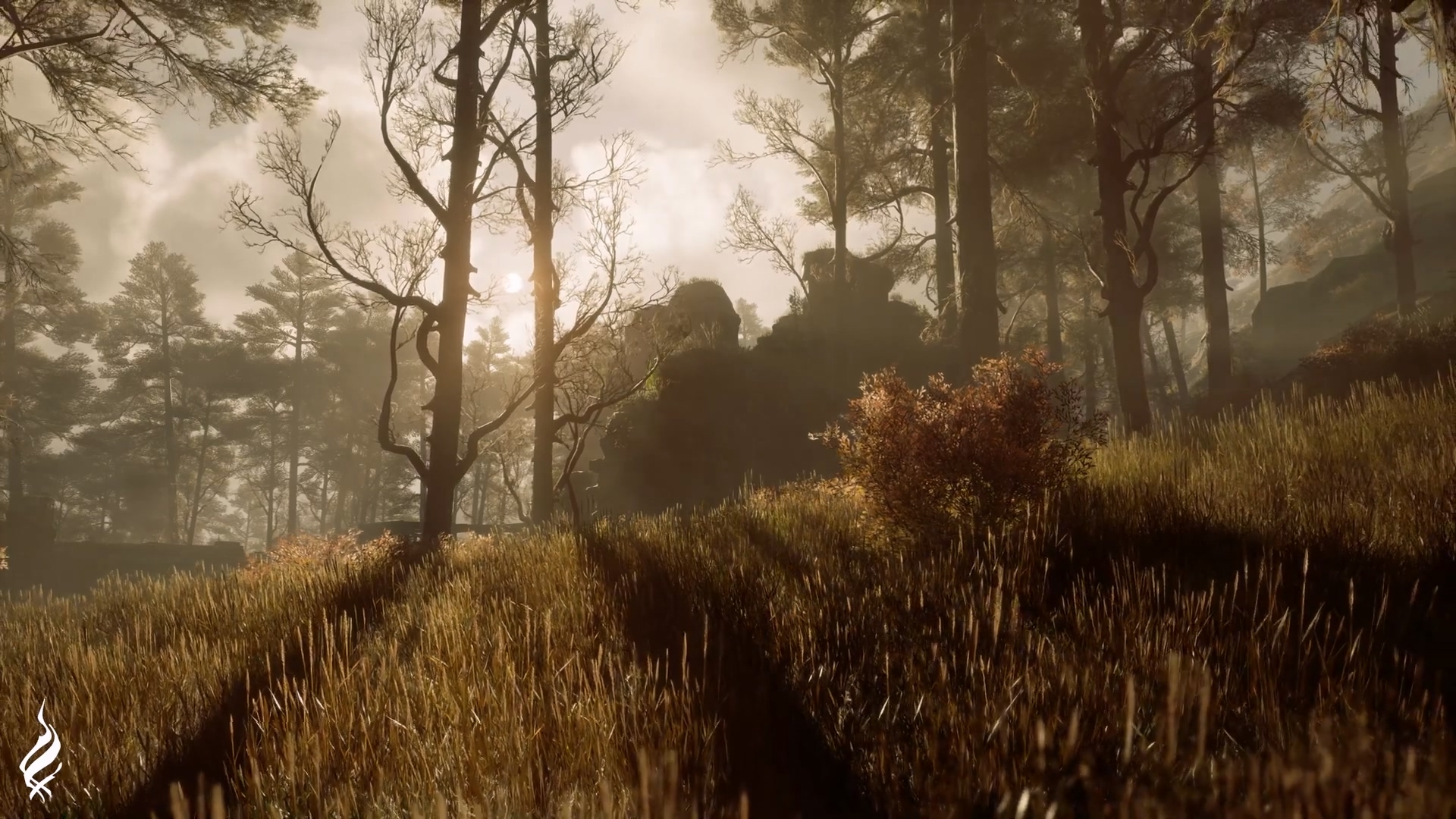 《霍格沃茨之遗》20分钟的视频如画。