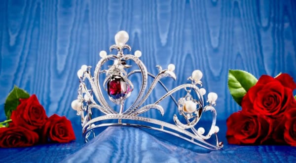 还是围绕最贵动漫《凡尔赛玫瑰》1亿日元女冠开放。