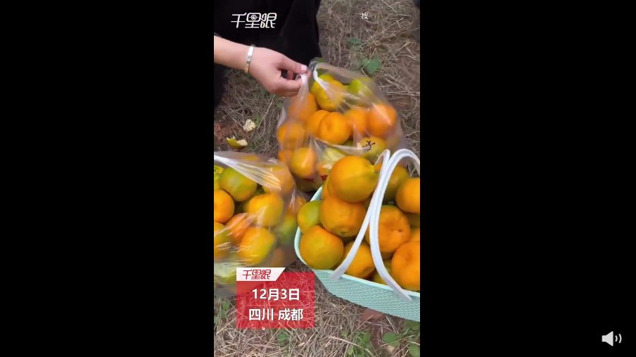 买了所有的橘子后，女人发现她叔叔住在一栋洋楼里:那个可怜的人其实是我自己。