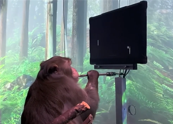 我不认为我的员工做事慢。马斯克:我等不及要在你们头上绑个炸弹了。