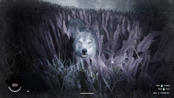 开始生存之旅《冬日幸存者》免费序章将于2月6日上线