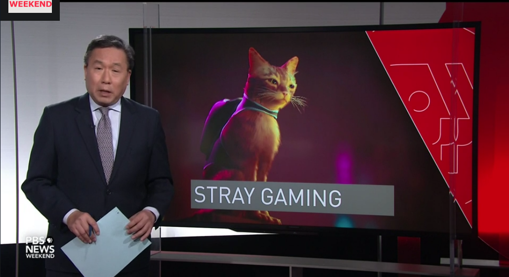 《迷失》与慈善机构合作筹集资金，帮助现实中的流浪猫