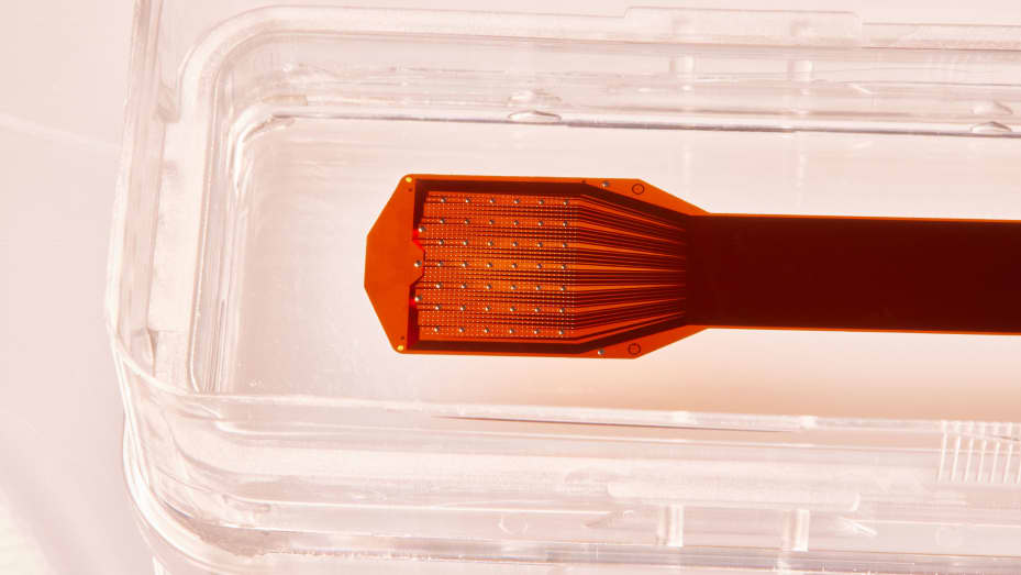 脑机接口，新突破口罩伙伴大脑的“第7层”