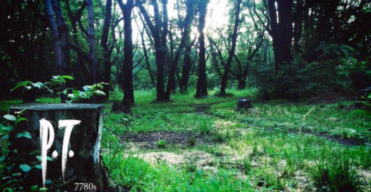 海外玩家意外发现漫画废弃作品《寂静岭P.T.》长时间睡眠