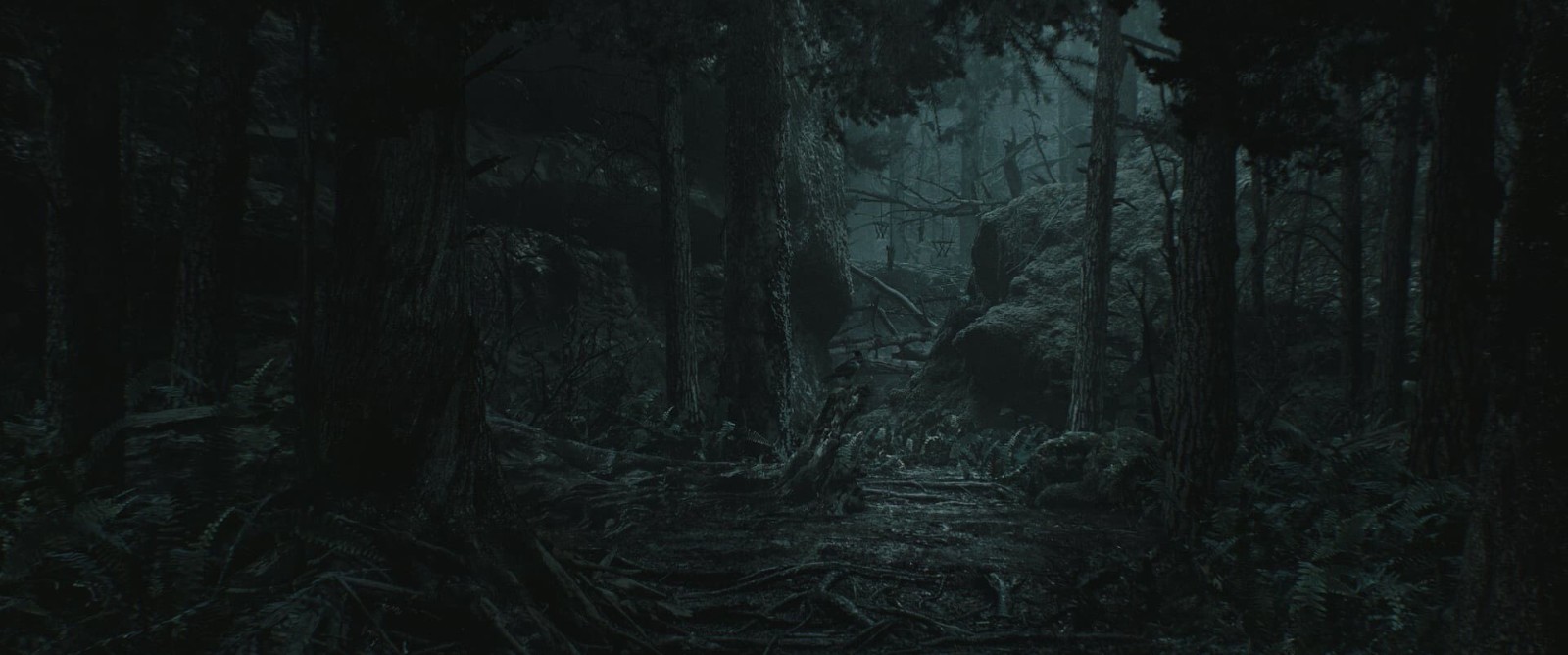 《心灵杀手2》新概念艺术图夜晚森林的阴森森