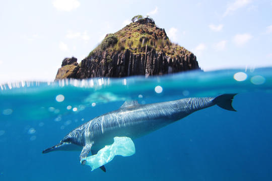 许多国家反对日本到2030年排放40万吨核污水入海被忽视