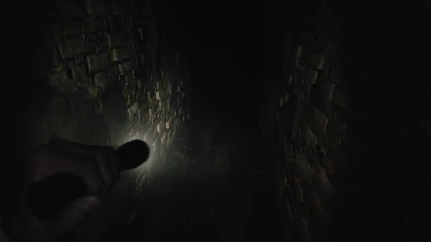 《生化危机：村庄》VR模式海报将于2月22日上线